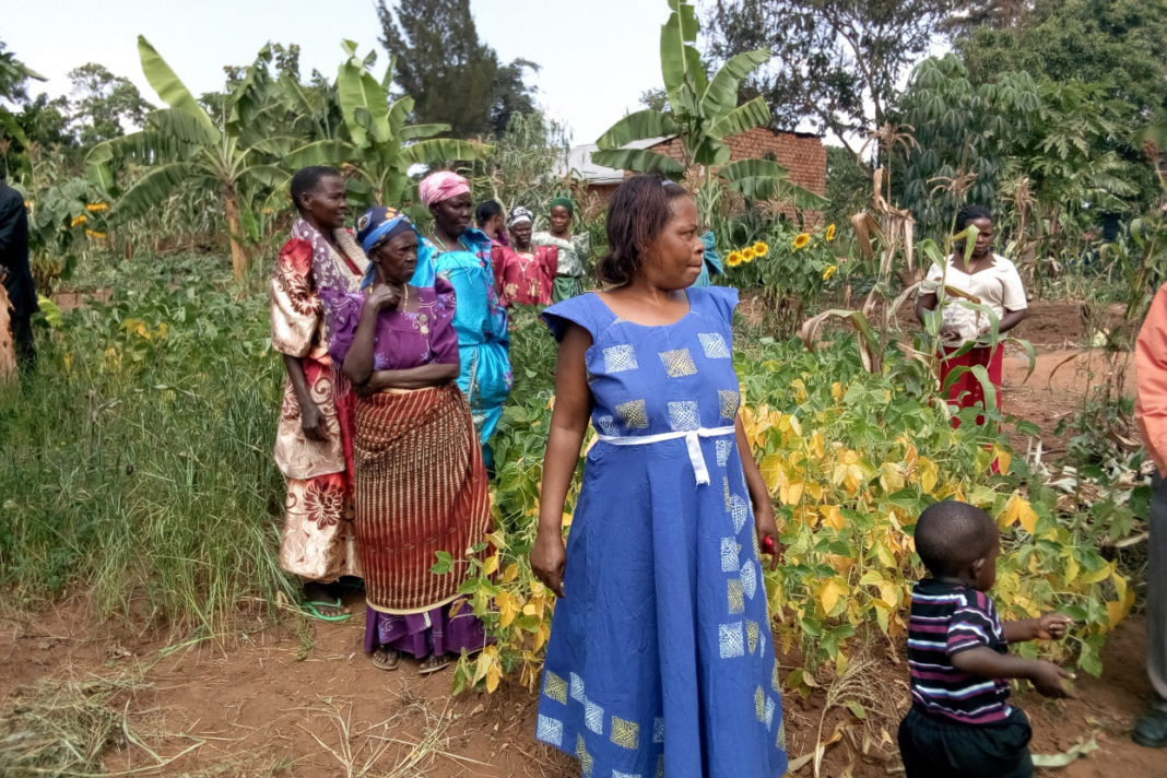 Intesa Sanpaolo sostiene il progetto Slow Food in Uganda