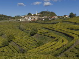 Strada del Vino del Soave