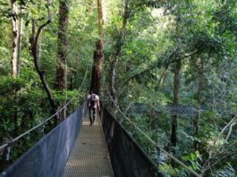 costa rica