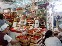 Terra madre salone del gusto