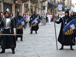 Pavia Palio del Ticino