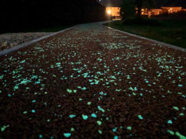 La pista ciclabile luminescente in Lucchesia 2