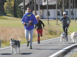 Tarvisiano_dog_trekking