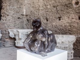 Il Palatino e l'arte contemporanea