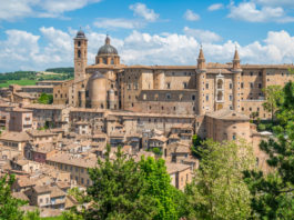 Urbino