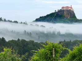 Austria, Stiria - vista sul Castello di Riegersburg dai vigneti dell'azienda Eibel. foto ©Enrico Caracciolo/Viatoribus