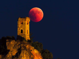 Torre di Caprona. foto ©Marco Meniero