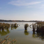 Riserva Naturale Regionale del Lago di Montepulciano