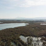 Riserva Naturale Regionale del Lago di Montepulciano