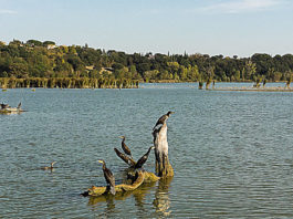 Riserva Naturale Regionale del Lago di Montepulciano