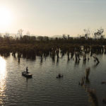 Riserva Naturale Regionale del Lago di Montepulciano