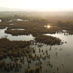 Riserva Naturale Regionale del Lago di Montepulciano