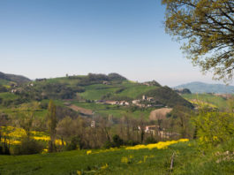 Le Colline del Parmigiano Reggiano DOP