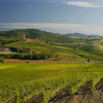 La Cantina Rocca di Frassinello