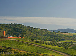 Cantina Rocca di Frassinello