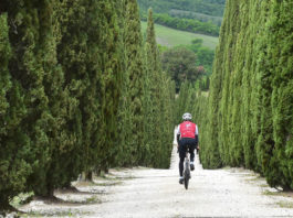 Cicloturismo in Toscana - Terre di Casole Bike Hub