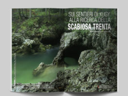 Slovenia, dal Lago di Bohinj al Triglav - Sui sentieri di Kugy alla ricerca della Scabiosa Trenta. Testo e foto di Alberto Campanile - Itinerari e Luoghi 282 luglio 2020