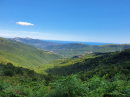 liguria