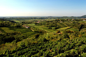 itinerari nel collio tra i colori e sapori dell’autunno