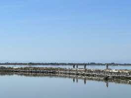 IN BICICLETTA NEL PARCO DELTA DEL PO - L’ARGINE DEGLI ANGELI