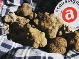 Tartufo Nero Pregiato di Acqualagna