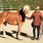 Tivoli, ph. Adriano Savoretti Capranica Prenestina - Ranch Montagna Cavalli (Alessandro Elgi e il suo cavallo)