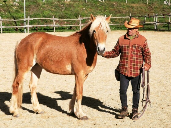 Tivoli, ph. Adriano Savoretti Capranica Prenestina - Ranch Montagna Cavalli (Alessandro Elgi e il suo cavallo)