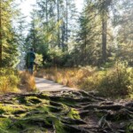 Lago di Costanza_Forest Bathing_in Vorarlberg_copyright_Agnes_Ammann - Vorarlberg Tourismus