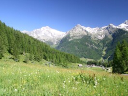 Valle Aurina_ph. Marco Giovenco