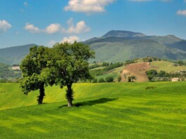 Strada_del_Miele_di_Macerata_Paesaggio_marchigiano