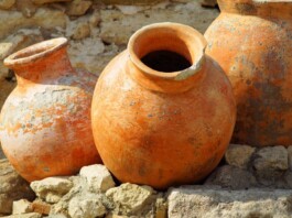 Amphora revolution, vino