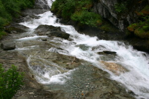 Valle Aurina, bagno nel bosco_ph. Marco Giovenco