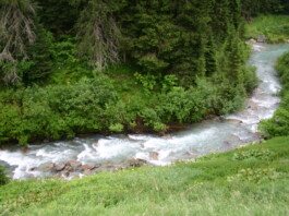 Valle Aurina, bagno nel bosco_ph. Marco Giovenco