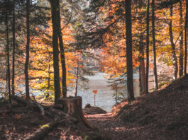 herbst_hechtsee_kufsteinerland_copyright_vanmey_photography