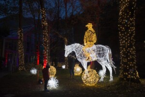  lumagica nel giardino di castel trauttmansdorff con sculture di luce phv giannella