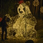 lumagica nei giardini di trauttmansdorff a merano per la prima volta phv giannella