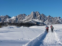 Visit Zoncolan_Ciaspolata a Casera Chiansaveit